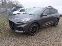Gebraucht Ford Kuga ST-Line X 152 PS (111 kW) 2022 Grau SUV