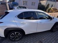 Gebraucht Lexus UX 250h 184 PS (135 kW) 2020 Weiß SUV