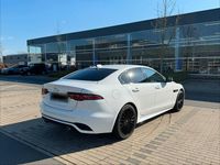Gebraucht Jaguar XE 300 PS (220 kW) 2019 Weiß Limousine