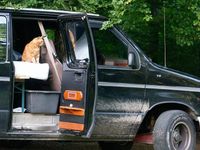 Gebraucht Ford Econoline 200 PS (147 kW) 1995 Schwarz Van / Kleinbus