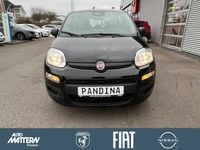 Neu Fiat Panda Icon 69 PS (50 kW) 2025 Schwarz Kleinwagen