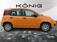 Gebraucht Fiat Panda 69 PS (50 kW) 2021 Gelb Kleinwagen