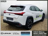 gebraucht Lexus UX 300e Executive Paket Komfort-Paket ACC DynLi