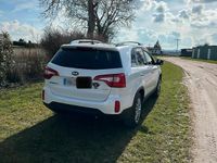 Gebraucht Kia Sorento 197 PS (144 kW) 2013 Weiß SUV