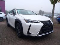 Gebraucht Lexus UX 250h Launch Edition 184 PS (135 kW) 2019 Sonic white SUV