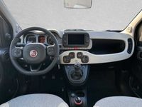gebraucht Fiat Panda 4x40 Jahre Edition - Allrad
