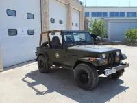 Gebraucht Jeep Wrangler 179 PS (131 kW) 1995 Grün SUV
