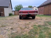 Gebraucht Ford Mustang 200 PS (147 kW) 1967 Rot Coupé