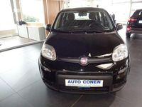 Gebraucht Fiat Panda 69 PS (50 kW) 2024 Colore esterno (cinema schwarz Kleinwagen