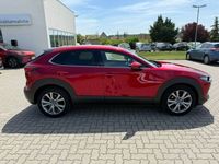 Gebraucht Mazda CX-30 Selection 122 PS (89 kW) 2019 Rot SUV