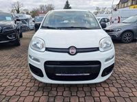 Gebraucht Fiat Panda Easy 69 PS (50 kW) 2019 Colore esterno (gelato weiss) Kleinwagen