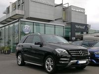 gebraucht Mercedes ML250 