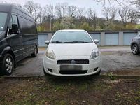Gebraucht Fiat Punto 2009 Weiß Kleinwagen