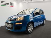 Neu Fiat Panda Icon 69 PS (50 kW) 2026 Italiablau, dach schwarz Kleinwagen