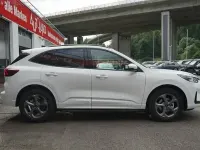 Neu Ford Kuga ST-Line 186 PS (136 kW) 2026 Weiß SUV