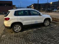 Gebraucht VW Tiguan Sportline 179 PS (131 kW) 2012 Weiß SUV
