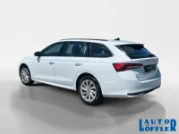 Gebraucht Skoda Octavia Selection 150 PS (110 kW) 2024 Moonweiß (metallic) Kombi