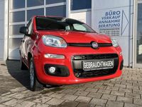 Gebraucht Fiat Panda Easy 69 PS (50 kW) 2017 Rot Kleinwagen