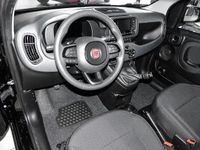 Neu Fiat Panda 69 PS (50 kW) 2025 Schwarz Kleinwagen