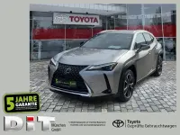 Gebraucht Lexus UX 250h 184 PS (135 kW) 2023 Silber SUV