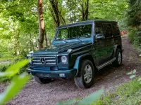 Gebraucht Mercedes G350 211 PS (155 kW) 2011 Grün SUV