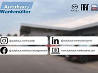 Gebraucht Fiat Ducato 140 PS (102 kW) 2022 Colore esterno (weiss (pastell Van