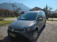 Usata VW Caddy Maxi 100 CV (73 kW) 2016 Giallo Monovolume