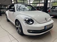 gebraucht VW Beetle Cabriolet Club High-Line DSG Navi