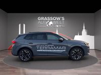 Gebraucht Cupra Terramar VZ 265 PS (194 kW) 2024 Grau SUV