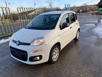 Gebraucht Fiat Panda Easy 69 PS (50 kW) 2020 Weiß Kleinwagen