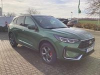 Neu Ford Kuga ST-Line X 242 PS (177 kW) 2025 Grün SUV