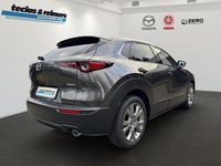 Gebraucht Mazda CX-30 Exclusive-Line 140 PS (102 kW) 2025 SUV