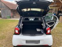 Usata Smart ForFour 52 CV (38 kW) 2015 Bianco Utilitaria