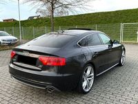 gebraucht Audi A5 Sportback 3.0 TDI S tronic quattr S-Line Plus