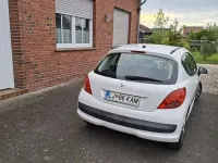 Gebraucht Peugeot 207 Urban Move 73 PS (53 kW) 2007 Kleinwagen