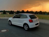 Gebraucht VW Polo Life 60 PS (44 kW) 2014 Weiß Kleinwagen