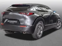 Gebraucht Mazda CX-30 Selection 180 PS (132 kW) 2019 Grau SUV