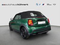 Gebraucht Mini Cooper Cabriolet Classic 136 PS (100 kW) 2023 Grün Cabrio