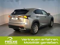 gebraucht Lexus NX300h Hybrid Amazing +AppleCarPlay+Rückfahrkamera+Fernlichtassist.