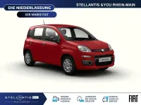 Neu Fiat Panda Icon 65 PS (47 kW) 2026 Rot Kleinwagen