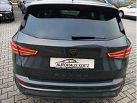 Neu Cupra Ateca 190 PS (139 kW) 2025 Grün (dark forest grün metallic) SUV