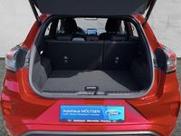 Gebraucht Ford Puma ST-Line 125 PS (91 kW) 2024 Rot SUV