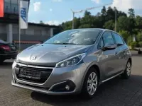 Gebraucht Peugeot 208 Active 102 PS (75 kW) 2019 Grau Kleinwagen