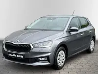 Gebraucht Skoda Fabia Selection 95 PS (69 kW) 2024 Grau Kleinwagen