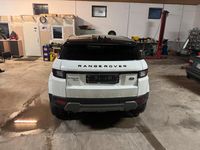 Gebraucht Land Rover Range Rover evoque 150 PS (110 kW) 2018 Weiß SUV