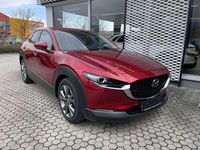 Gebraucht Mazda CX-30 Selection 179 PS (131 kW) 2020 Soul red crystal SUV
