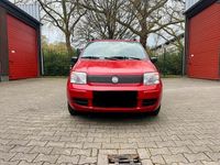 Gebraucht Fiat Panda 60 PS (44 kW) 2009 Rot Kleinwagen