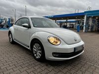 gebraucht VW Beetle Lim. 1.4 TSI//TÜV Okt.2025//Tempomat//Klima