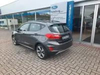 Gebraucht Ford Fiesta Active 125 PS (91 kW) 2019 Grau Kleinwagen