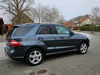 Gebraucht Mercedes ML350 258 PS (189 kW) 2013 Andere farben SUV